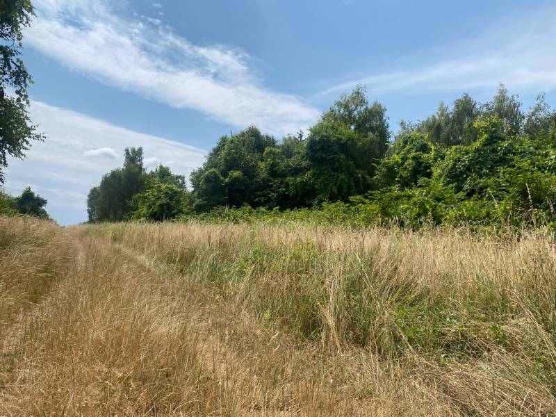 Sale Land – for living, Land – for living, Rímska, Malacky, Slovakia