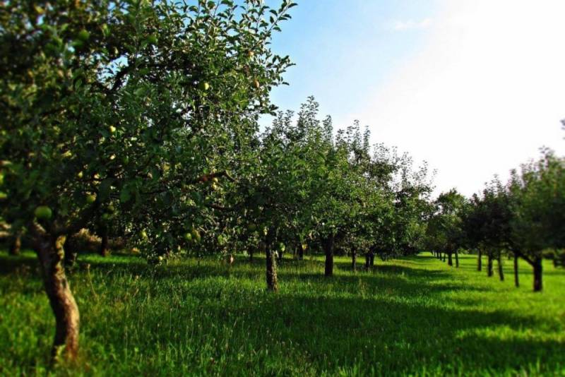 Sale Land – for living, Land – for living, Nezvalova, Bratislava - Pod