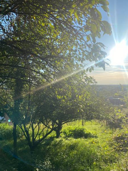 Sale Land – for living, Land – for living, Malacká cesta, Malacky, Slo