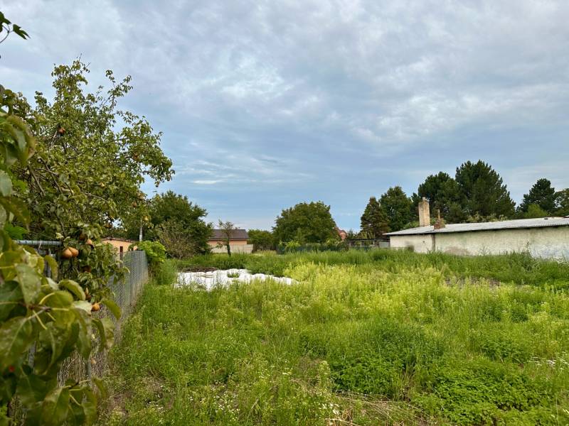 Sale Land – for living, Land – for living, Tichá, Dunajská Streda, Slo