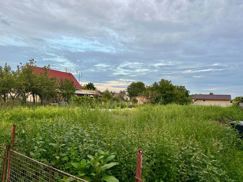 Sale Land – for living, Land – for living, Tichá, Dunajská Streda, Slo