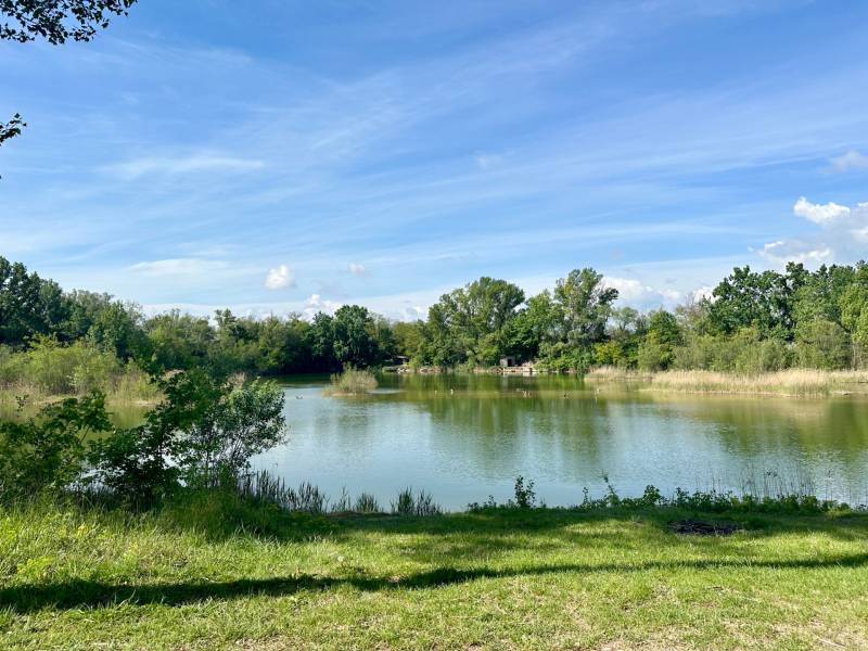 Sale Family house, Family house, Kalinkovo, Senec, Slovakia