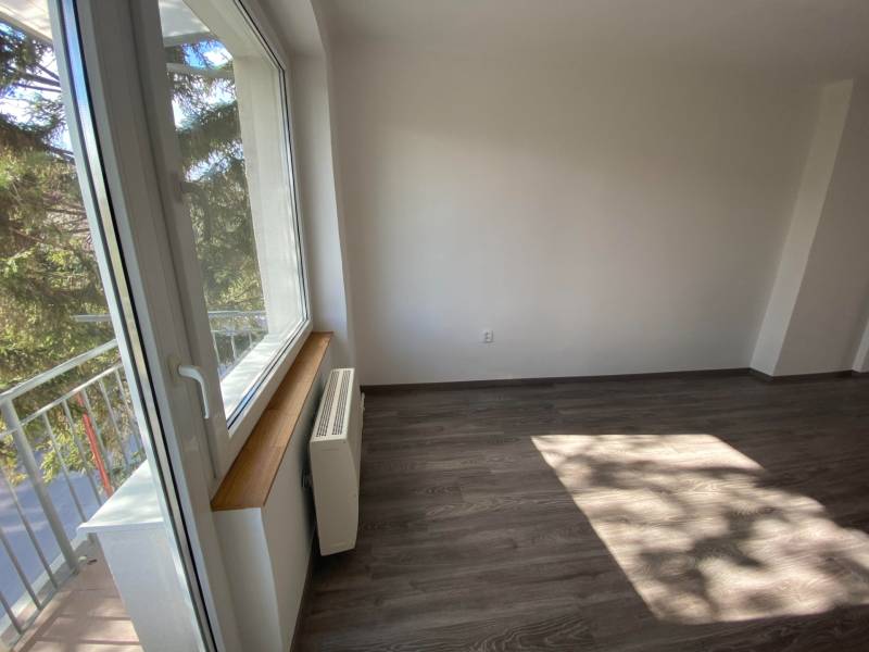 Sale One bedroom apartment, One bedroom apartment, Školská, Dunajská S