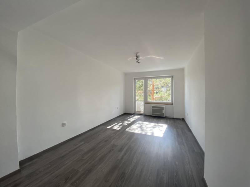 Sale One bedroom apartment, One bedroom apartment, Školská, Dunajská S