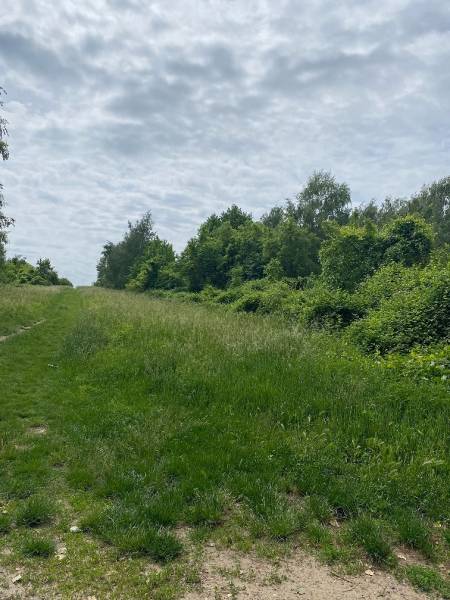 Sale Land – for living, Land – for living, Rímska, Malacky, Slovakia
