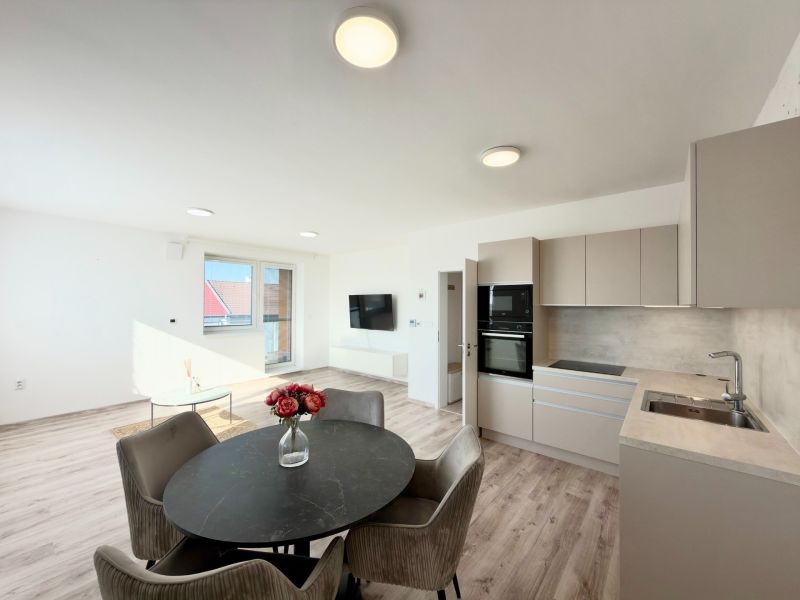 Rent One bedroom apartment, One bedroom apartment, Šámot, Dunajská Str